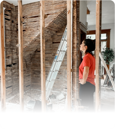 Renovators